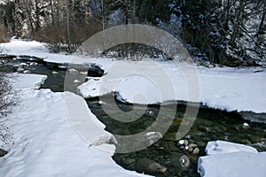 Creek in Alaskan forest