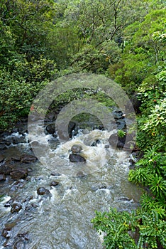 A creek along the road to hana maui hawaii