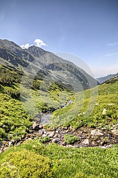 Creek in the amazing green mountain valley