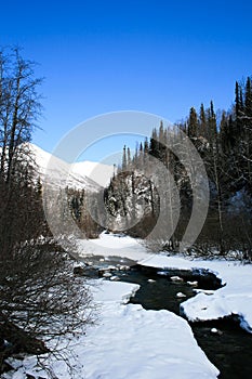 A creek in Anchorage, Alaska