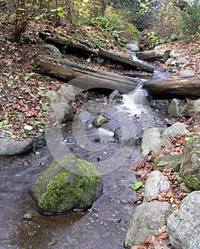 Creek in Autumn