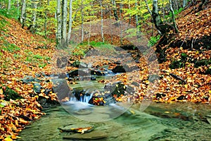 Creek in autumn