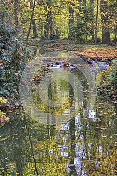 Creek in autumn forest