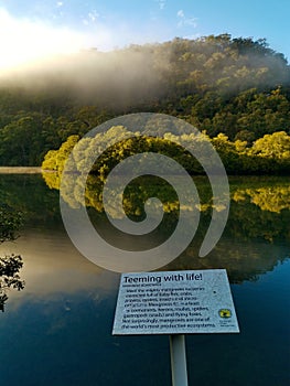 Beautiful view of creek with reflections blue sky, light clouds, fog, mountains and trees on water photo