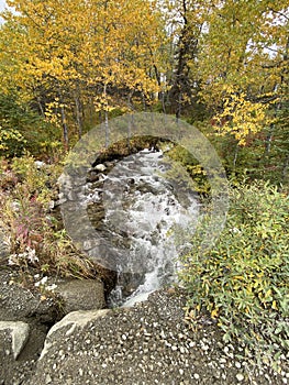 Creek bed in an Autumn landscape scene