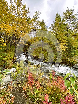 Creek bed in an Autumn landscape scene