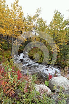 Creek bed in an Autumn landscape scene