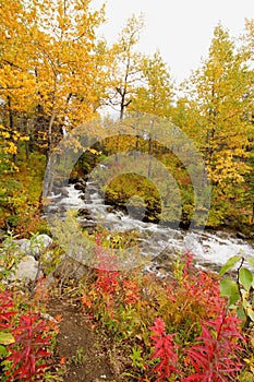 Creek bed in an Autumn landscape scene