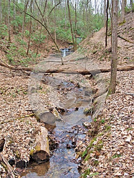 Creek below Little Mountain Falls at Fairy Stone State Park