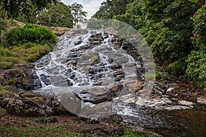 A creek cascading over a steep rock formation through tropical rainforest