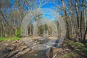 Creek in early spring in Ohio