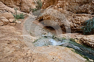 Creek Ein Bokek in the Judean desert
