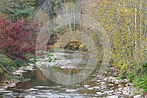 Creek in the fall