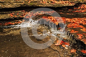 Creek in the Fall