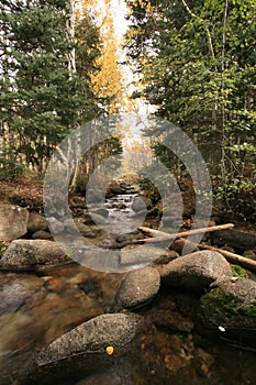 Creek in fall with aspens #2