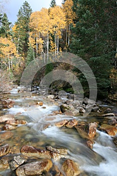 Creek in fall with aspens #4