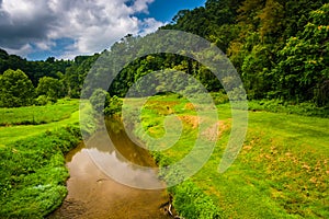 Creek and field in rural Carroll County, Maryland.