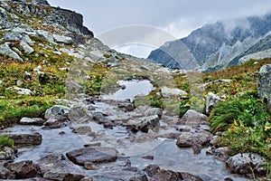 Creek flowing out of Vysne Zabie Mengusovske pleso tarn in High Tatras