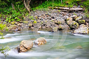 Creek Flowing Over Rock in Rainforest