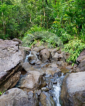 Creek flowing among rocks. Pipiwai trail hike in the Haleakala National Park, Hawaii
