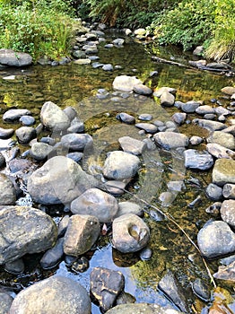 Creek with flowing water