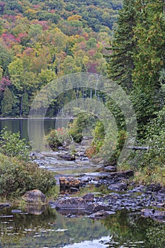 A creek flows into Lake Bouchard