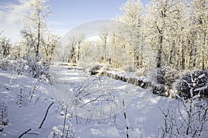 Frozen creek bed in Fish Creek Park