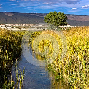 A creek flows through wetland plants and mountains in Browns Park NWR in Colorado