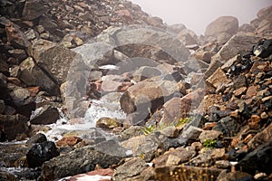 Creek and fog