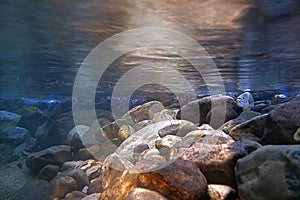 Creek in the forest