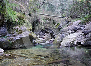 Creek in the forest with a bridge
