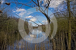 Creek in the forest with eflection of blue sky and white fluffy clouds