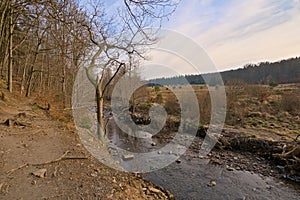 Creek in a forest in high fens region in Belgium