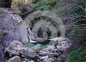 Creek in the forest with rocks