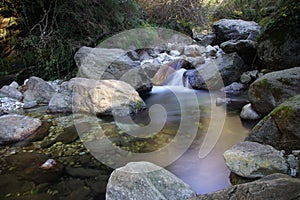 Creek in the forest with rocks