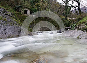Creek in the forest with rocks and stones