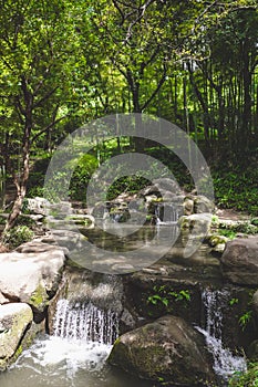 Creek in forest on Tiger Hill Huqiu, Suzhou, Jiangsu, China