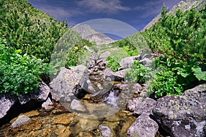 Creek in Furkotska dolina valley in High Tatras mountains