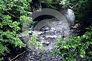 Creek in Gatlinburg