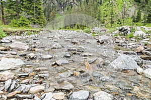 Creek in the Goeriachtal in Lungau, Austria