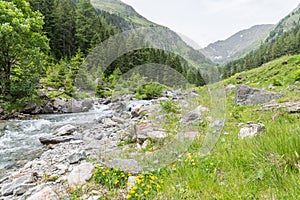 Creek in the Goeriachtal in Lungau, Austria