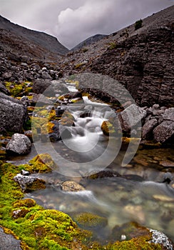 Creek in Hibiny mountains