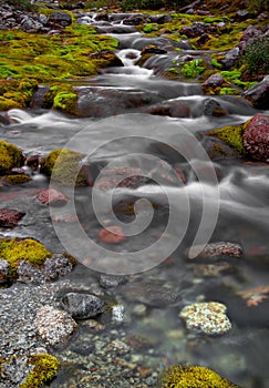 Creek in Hibiny mountains