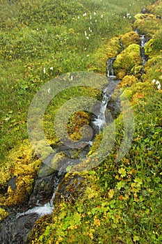 Creek at the hiking track at the river Svarfadardalsa in Dalvik,Iceland,Europe