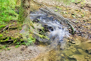 Creek in Hybicka tiesnava gorge during spring