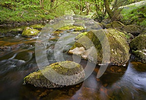 Creek in Ireland, water flows gentle in green, fertile environment photo