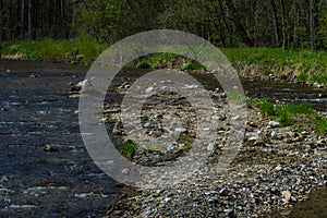 creek with a island in the middle in the nature