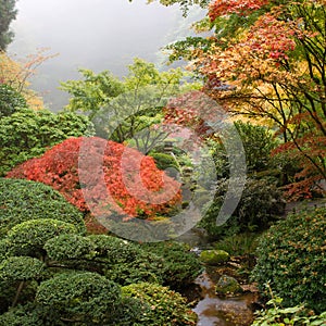 Creek at Japanese Garden in the Fall