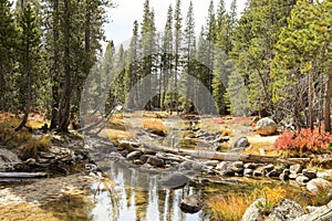 A creek leading into Tenaya Lake in Yosemite national park