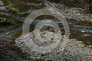 creek with many stones while hiking